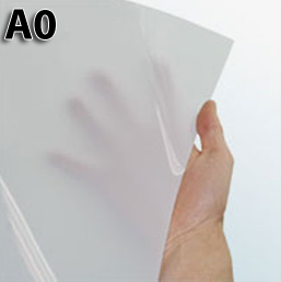 A0 Backlist Poster