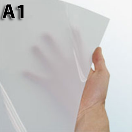 A1 Backlist Poster